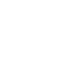 Canopy Talent Solutions